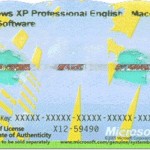 Microsoft Windows Certficiate of Authenticity